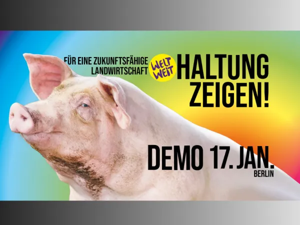 Demo-Aufruf für den 17.01.2026 zur Wir haben es satt-Demo. Mit Portrait eines Schweines
